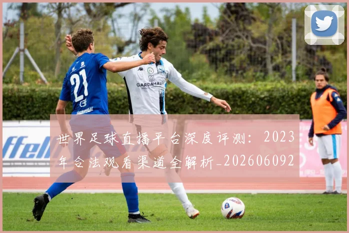 世界足球直播平台深度评测：2023年合法观看渠道全解析_20260609201544