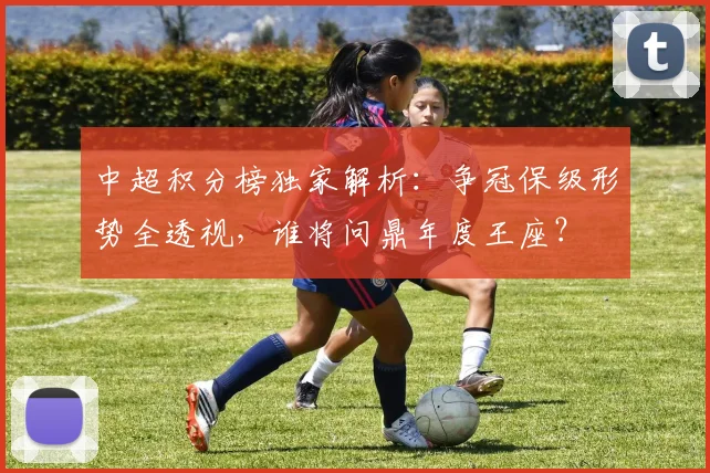 中超积分榜独家解析：争冠保级形势全透视，谁将问鼎年度王座？